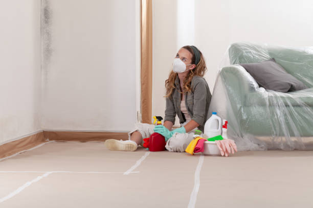 Reliable Mold Remediation contractor in Sanford, NC by Mold Remediation HQ